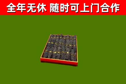 湖里区回收海参